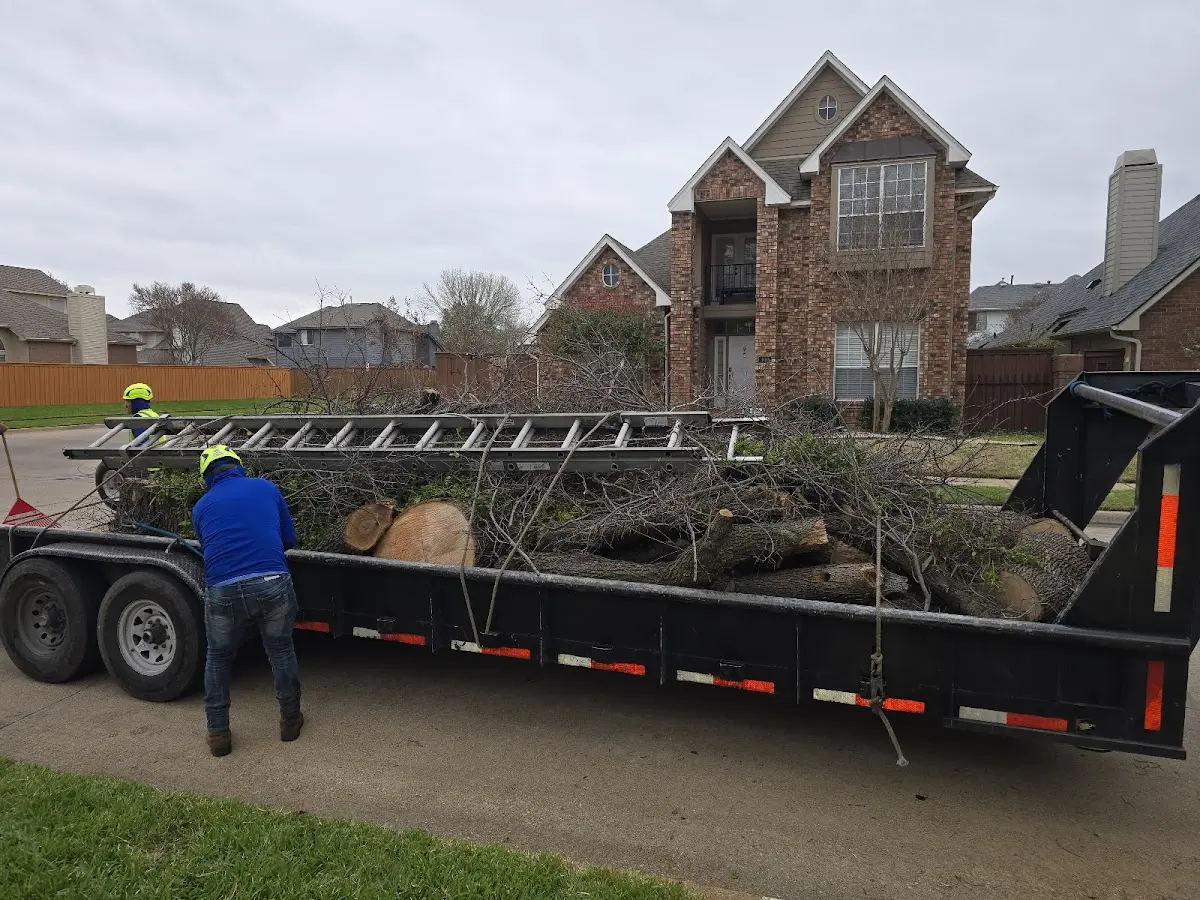 Expert Tree Fertilization with proper safety equipment in Fort Valley
